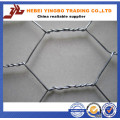 Rede de arame hexagonal para gaiola de aves (fabricante profissional ISO9001: 2008)